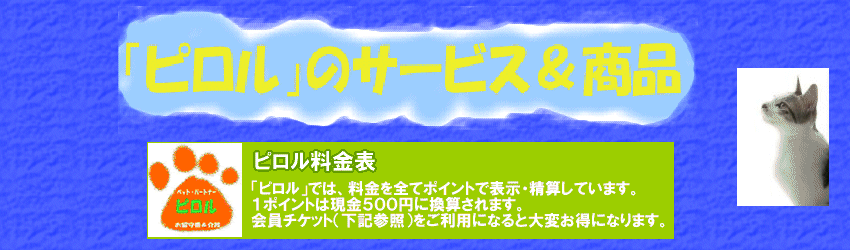 �����\�̂̃��S